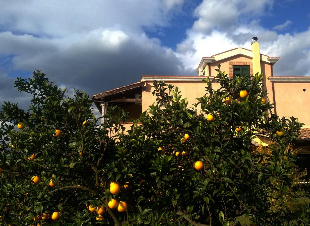 Farm stay Su Canonigu Agriresort